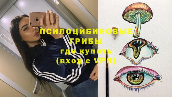 спайс Баксан