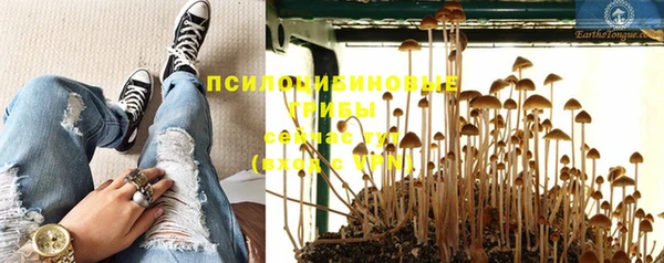 сатива Белокуриха