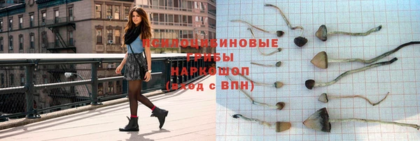 сатива Белокуриха