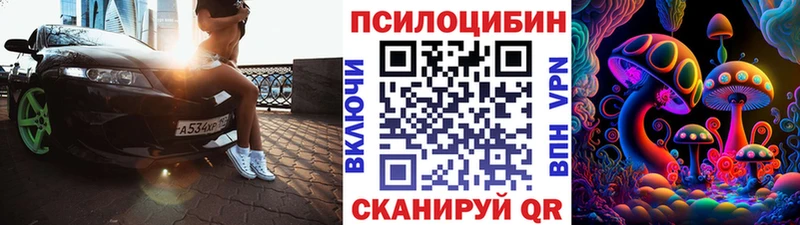 Псилоцибиновые грибы Psilocybe  Верея 